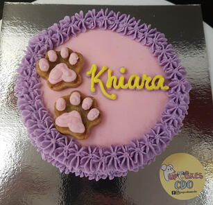 Paw Design