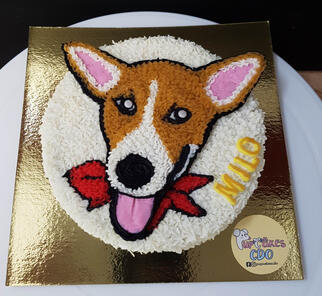 2D Cake